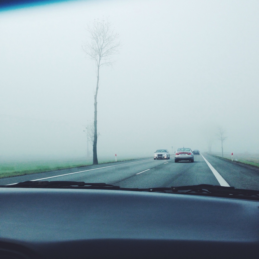 Do You Know How to Safely Navigate Thick Fog While Driving?